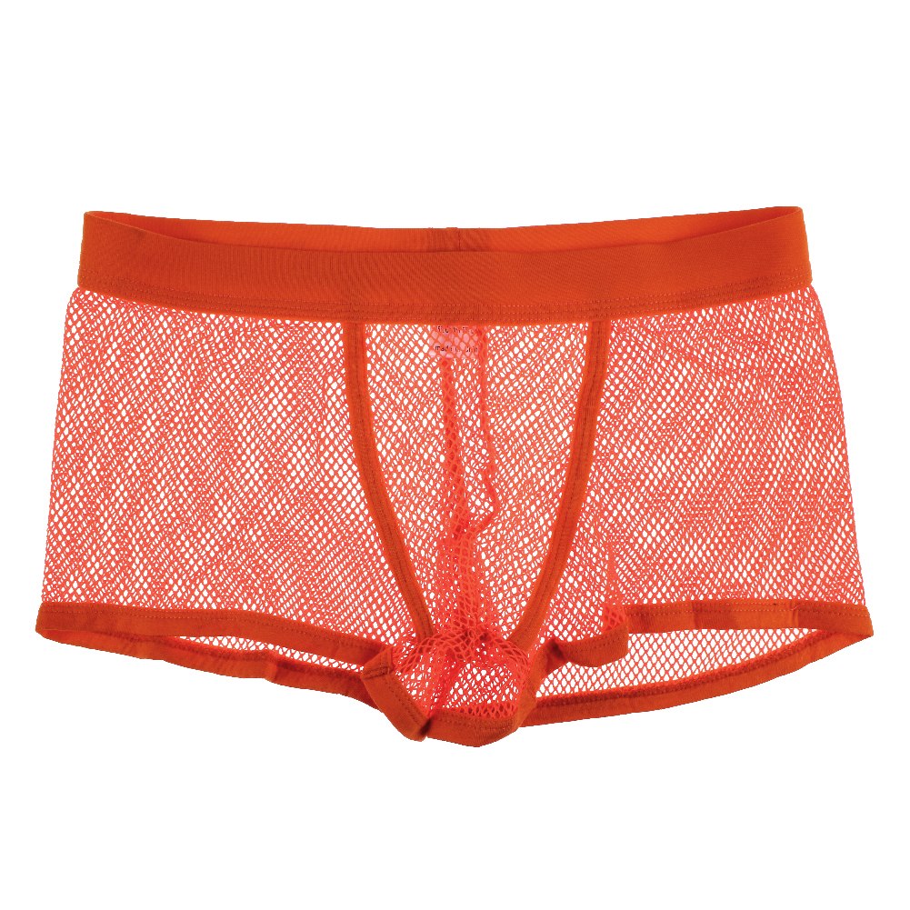Sexy Mens Thin Mesh Underwear Boxer Briefs Shorts See Through Trunks Underpants Ebay 6910