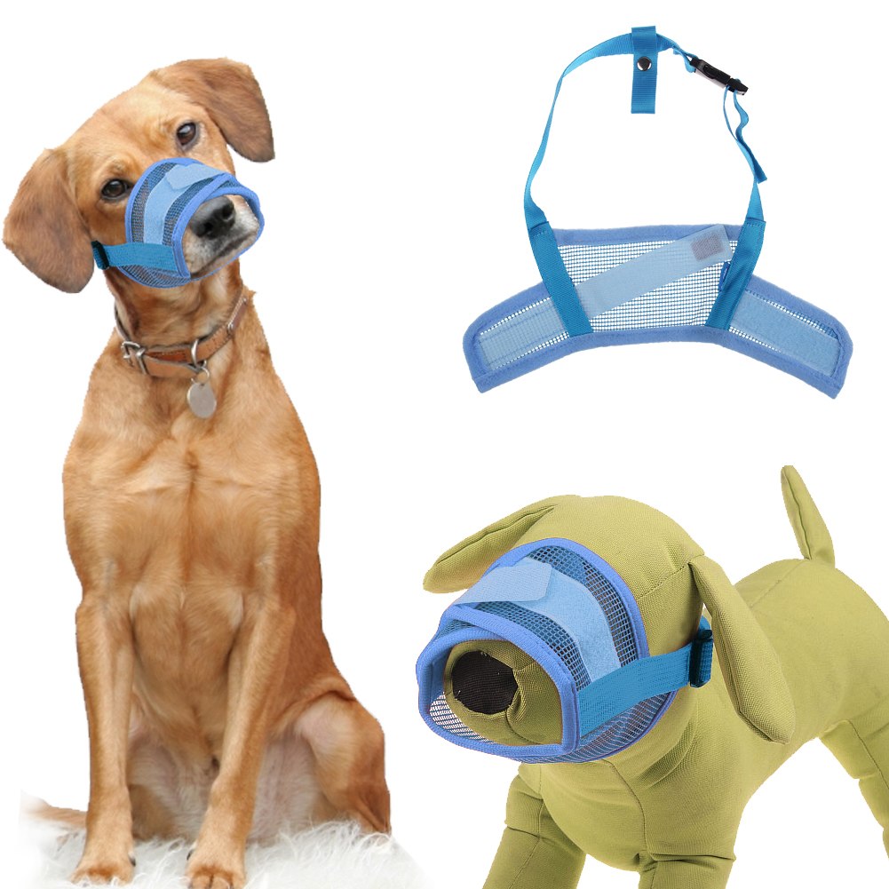 best muzzle to stop dog eating poop